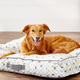 Up to 30% Off Frisco Beds & Mats | Chewy